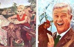 More Spanish Green Acres Trading Cards