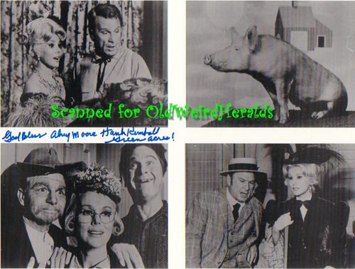 Alvy Moore's Autograph on a nice Collage of photos